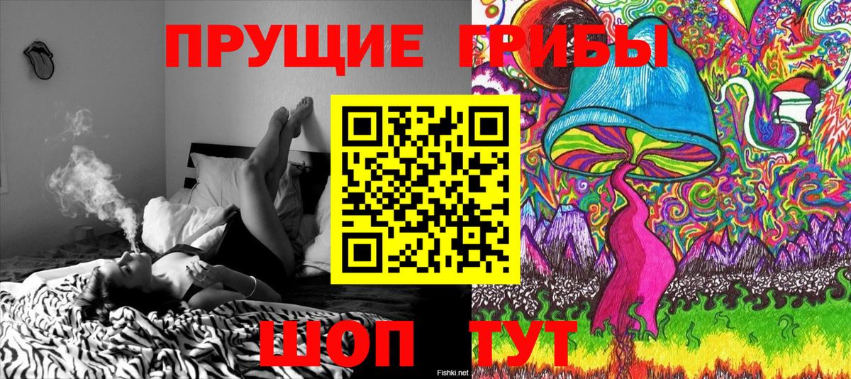 Галлюциногенные грибы Psilocybe Волгодонск